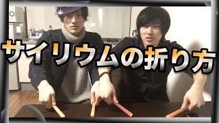 【質問コーナー】演出で魅せる！サイリウムの折り方【北の打ち師達】