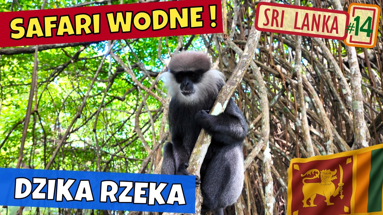 Sri Lanka: krokodyle, małpy i warany | Safari na rzece w Bentocie | 1200 km na liczniku