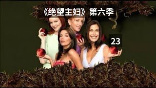 绝望主妇第六季23集 大结局