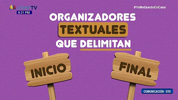 ¿Qué son los organizadores textuales ejemplos?