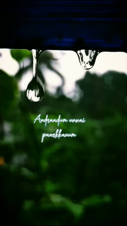 epodhum unmael nyabagam song whatsapp status ❣️#shorts