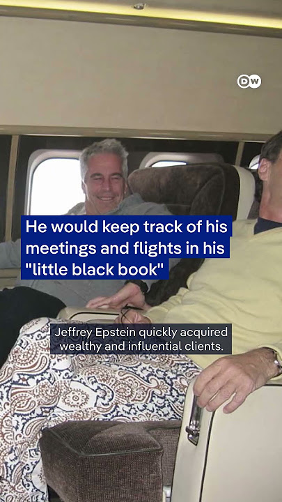 After the Musk-Trump clash: Who was Epstein? #dwhistoryandculture