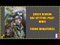  quick look raf spitfire pilot  110 scale resin bust