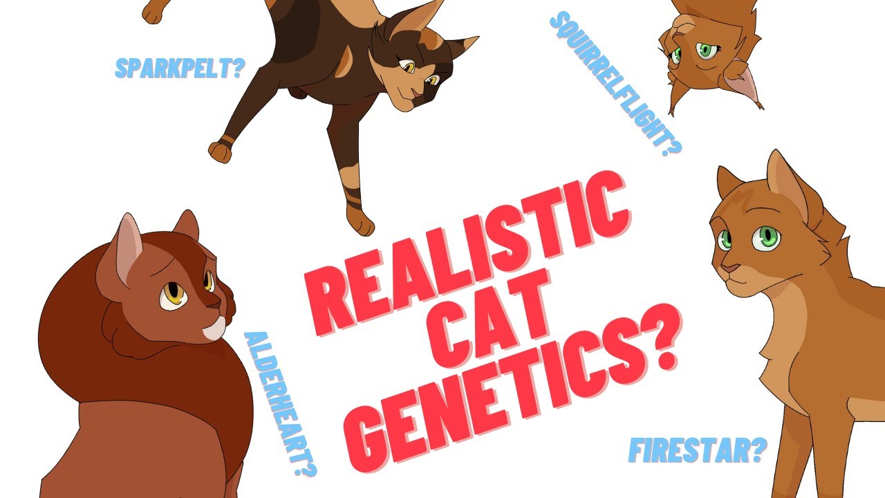 Genetically Accurate Warrior Cats #1 - Firestar's Family 