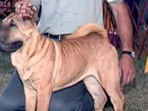ANDREW AND KISSES .wmv