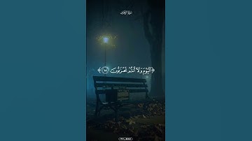 المنشاوي تلاوة خاشعة من سورة الزخرف #الشيخ_المنشاوي #قرآن