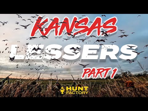 9-Man Of Geese By 9am! Kansas Lessers Part 1