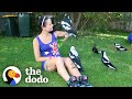 Woman gives toys to a wild magpie  and he invites his friends over to play  the dodo wild hearts