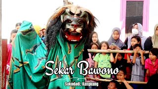 Singo Barong Sekar Bawono live in Johorejo (sesi pagi)