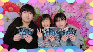 【ツイステッドワンダーランド】3Dマグネット 推しは出た？