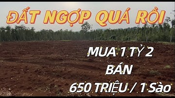 ANH THẢO CẦN BÁN MÃNH ĐẤT VƯỜN GIÁ NGỢP XÃ QUẢNG THÀNH HUYỆN CHÂU ĐỨC TỈNH BÀ RỊA VŨNG