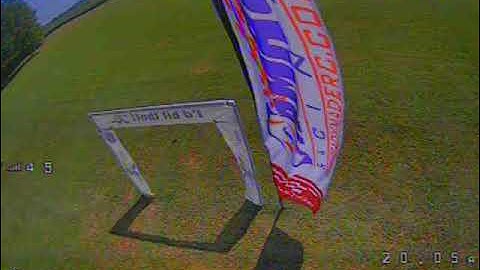 Picking Teeth With The Twig Mutant