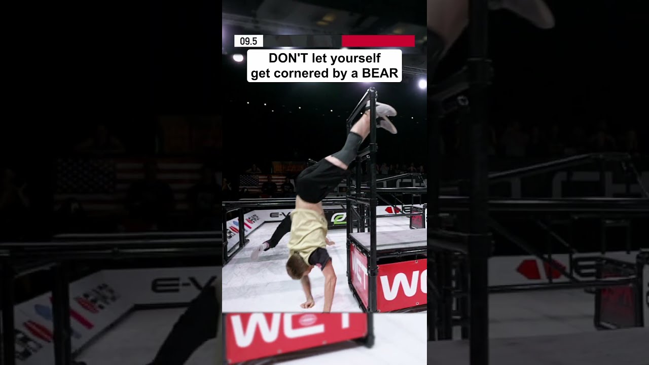 DON T Get Cornered By A BEAR 