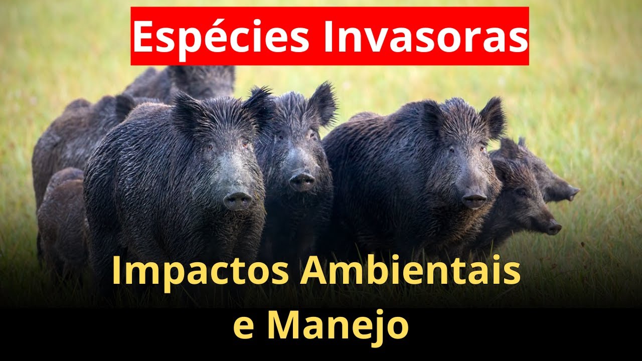 Espécies Exóticas Invasoras: Impactos Ambientais e Noções de Manejo