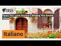 Parent Visa: come funziona il Bridging Visa durante l’attesa | SBS Italian - SBS in Italiano