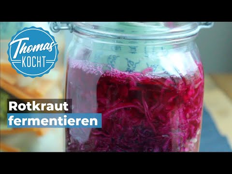 Rotkohl kochen nach Omas Rezept einfach selber machen. 