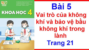 Khoa Học Lớp 4 Kết Nối Tri Thức Bài 5 – Vai Trò Của Không Khí Và Bảo Vệ Bầu Không Khí Trong Lành