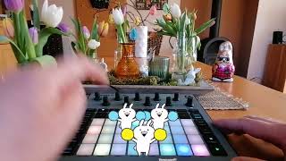 GROOVY EASTER 🐇DANCE JAM on NOVATION CIRCUIT RHYTHM🐰