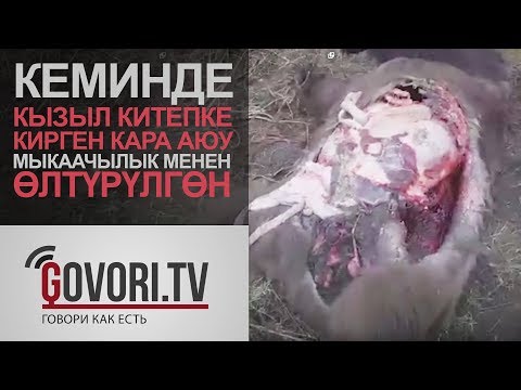 Video: Медициналык китепке кандай анализдер алынат