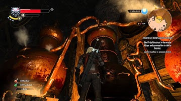 Witcher 3 Secondary Quests Practicum in Advanced Alchemy
