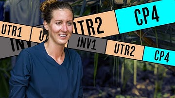 Underedited Finale Threats Who Came Out of Nowhere