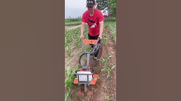 cornfield weeding and ditching machine micro tillage machine manufacturer Small gasoline micro...