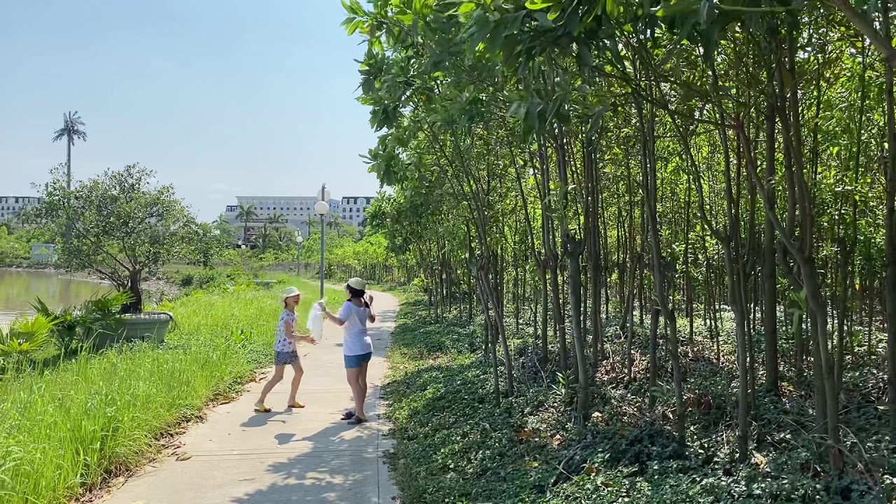 Funny learning English: A picnic by the river 