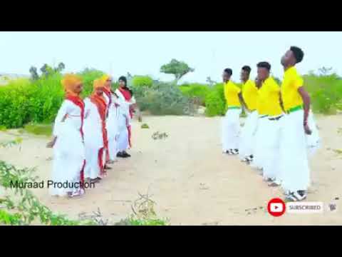 Dhaanto Cusub Gabdha Sharaf Leh Abwaan Kaamil