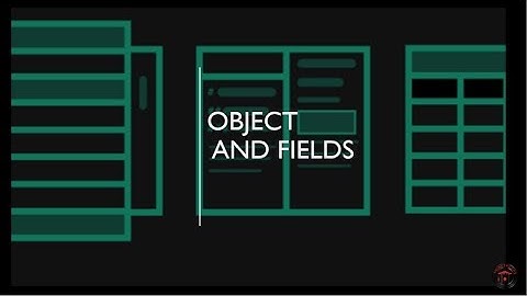 Objects And Fields In Salesforce