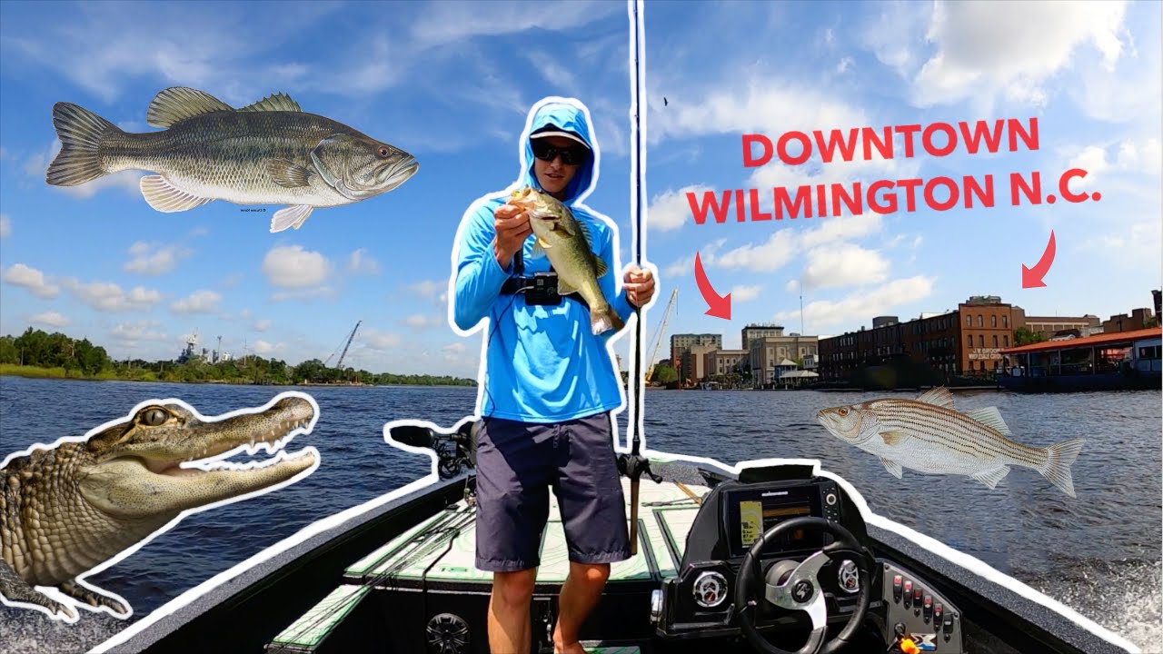 BASS Fishing in Downtown Wilmington N.C. (Cape Fear River