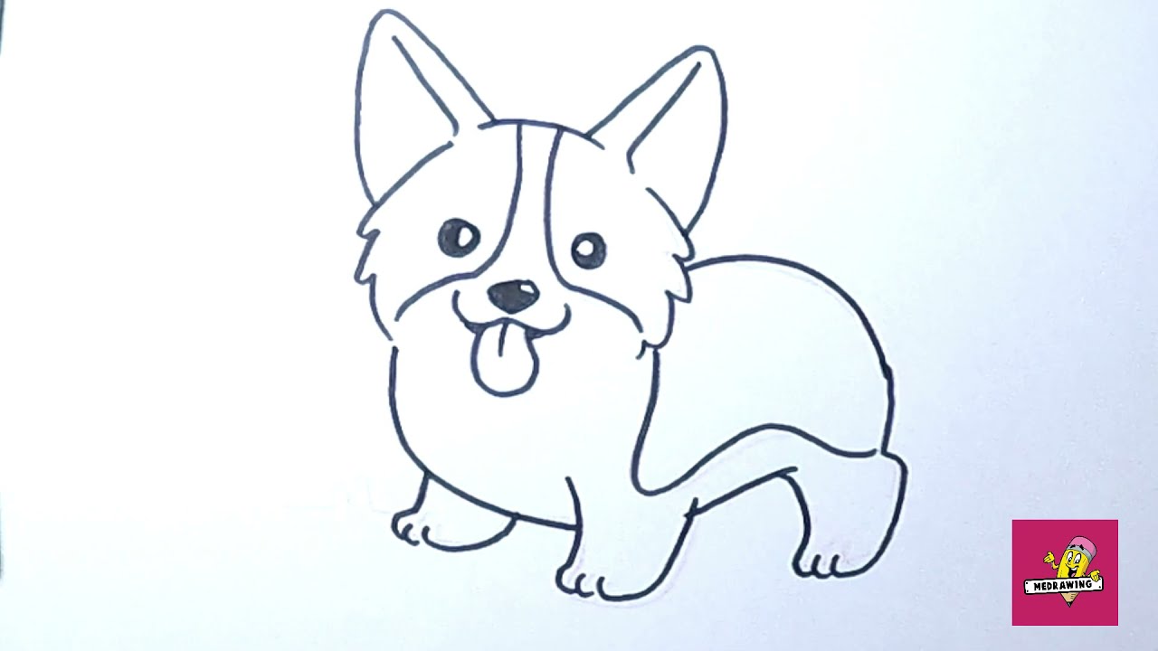How to Draw Corgi Dog - YouTube