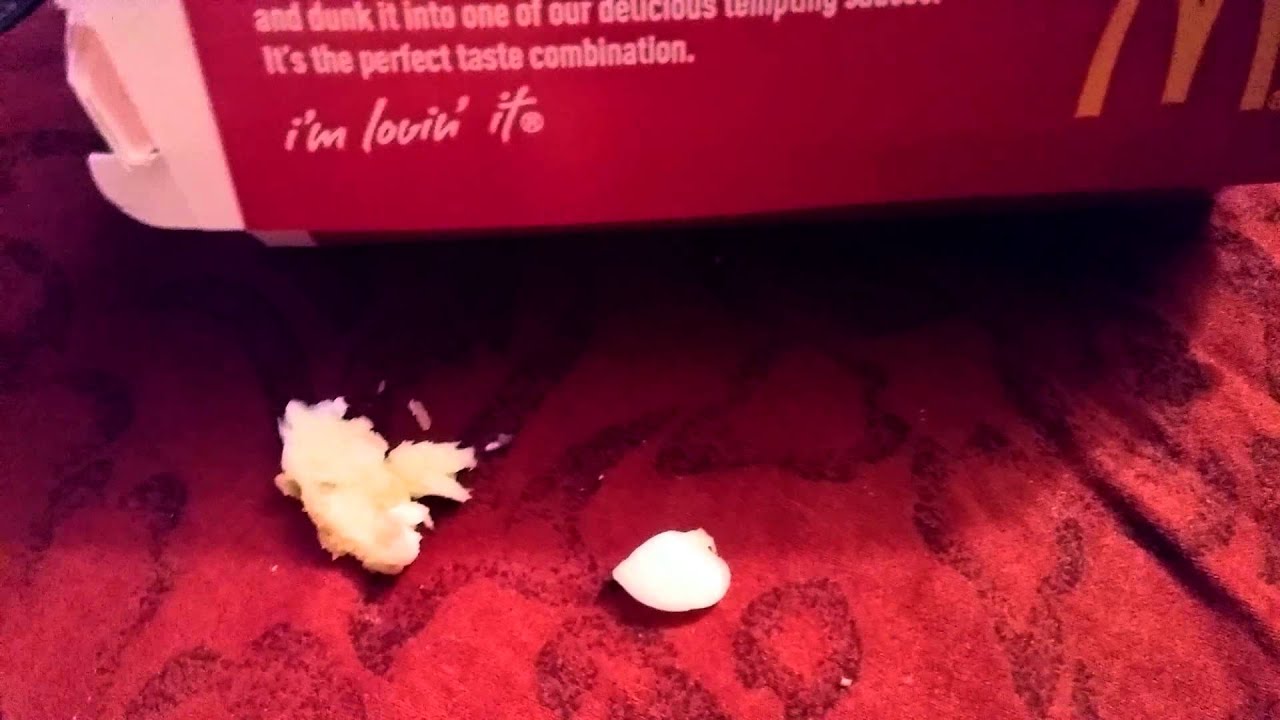 McDonald's chicken nuggets. Today a big piece of plastic in one of my nuggets YouTube