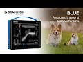 Dramiski blue the stateoftheart portable ultrasound scanner for pets en
