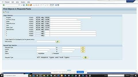 SAP Expert Transport tool SE03 for every consultant