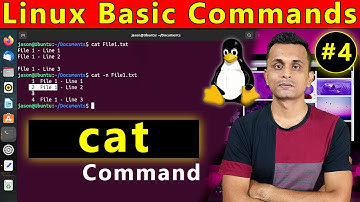 Linux Basic Command - 4 | cat Command | In Hindi