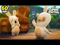 Les lapins trouvent une tl   1h les lapins crtins invasion  animaj kids