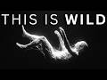 No Scientist Can Explain Why You're Alive... This Is More Disturbing Than You Think