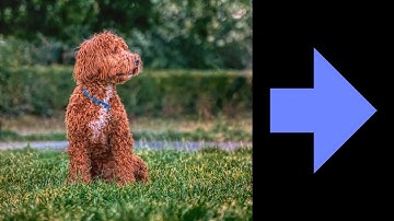 Extending Images with Affinity Photo