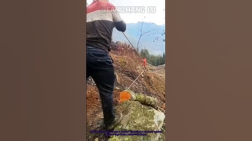 Ropeway Log Transportation: How to Move Timber Down Steep Hillsides