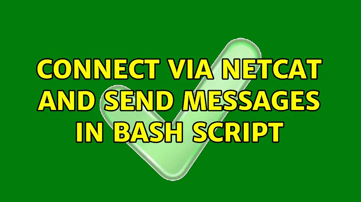 Ubuntu: connect via netcat and send messages in bash script