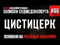 Записки Судмедэксперта #66 «Цистицерк»