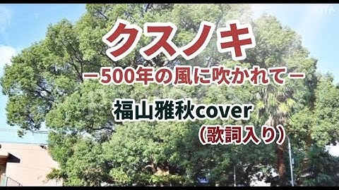 Thumbnail of クスノキ🎸福山雅治　フル歌ってみた　歌詞付き
