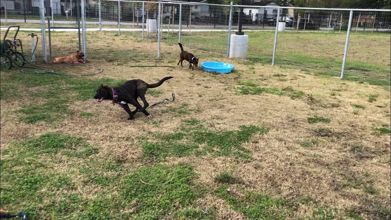 A584533 YAMS Temp Test YouTube