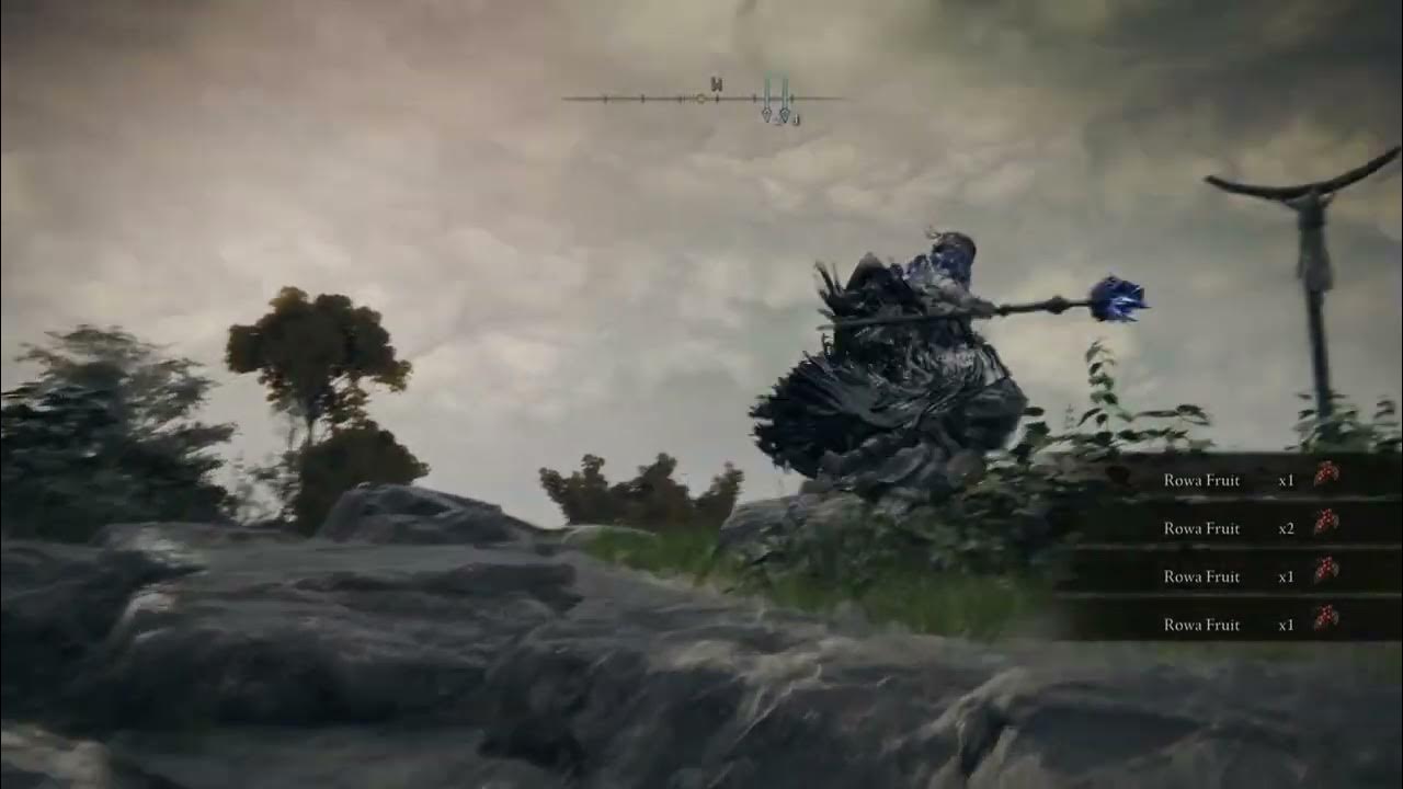 ELDEN RING Rowa Fruit Farm 20 every 90 seconds YouTube