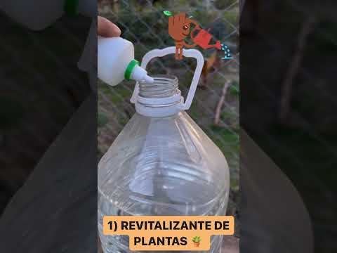 Video: Peróxido de hidrógeno para plantas: cómo usar el peróxido de hidrógeno en el jardín