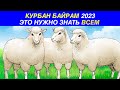 ВАЖНАЯ ИНФОРМАЦИЯ НА КУРБАН БАЙРАМ 2023! ЗУЛЬ ХИДЖА И ДЕНЬ АРАФА! КУРБАН БАЙРАМ НАЧАЛО И КОНЕЦ!