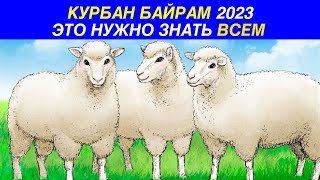 ВАЖНАЯ ИНФОРМАЦИЯ НА КУРБАН БАЙРАМ 2023! ЗУЛЬ ХИДЖА И ДЕНЬ АРАФА! КУРБАН БАЙРАМ НАЧАЛО И КОНЕЦ!