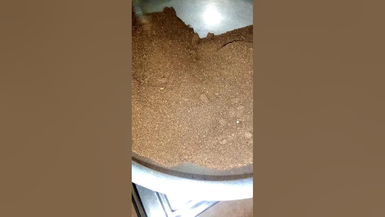 Mango Powder Roasting Sound shortvideo ashortaday asmr coffee-roasting-sound-analysis-youtube