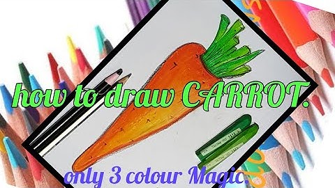 drawing CARROT.vegetable part 3.
