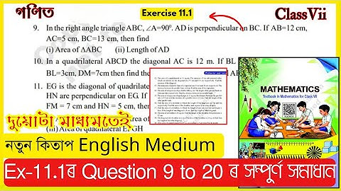 Class 7 Maths English Ex - 11.1 Q. 9 to 20 Solutions / Assam / Perimeter & Area / #T6B4K7 #S1Y8F6